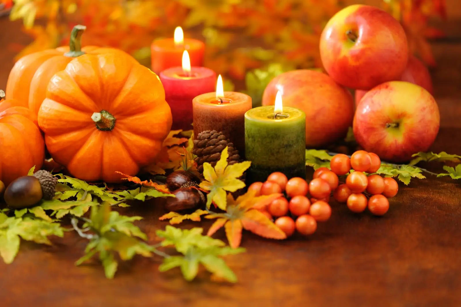 Happy Thanksgiving – Senior Home Care Sarasota Happy Thanksgiving - Senior Home Care Sarasota