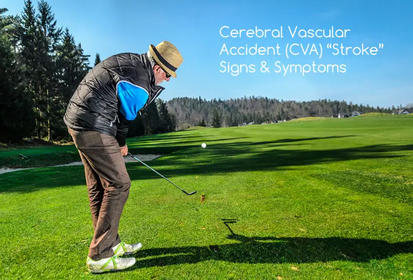 Cerebral Vascular Accident (CVA) Stroke in Seniors – Blog Cerebral Vascular Accident (CVA) Stroke in Seniors