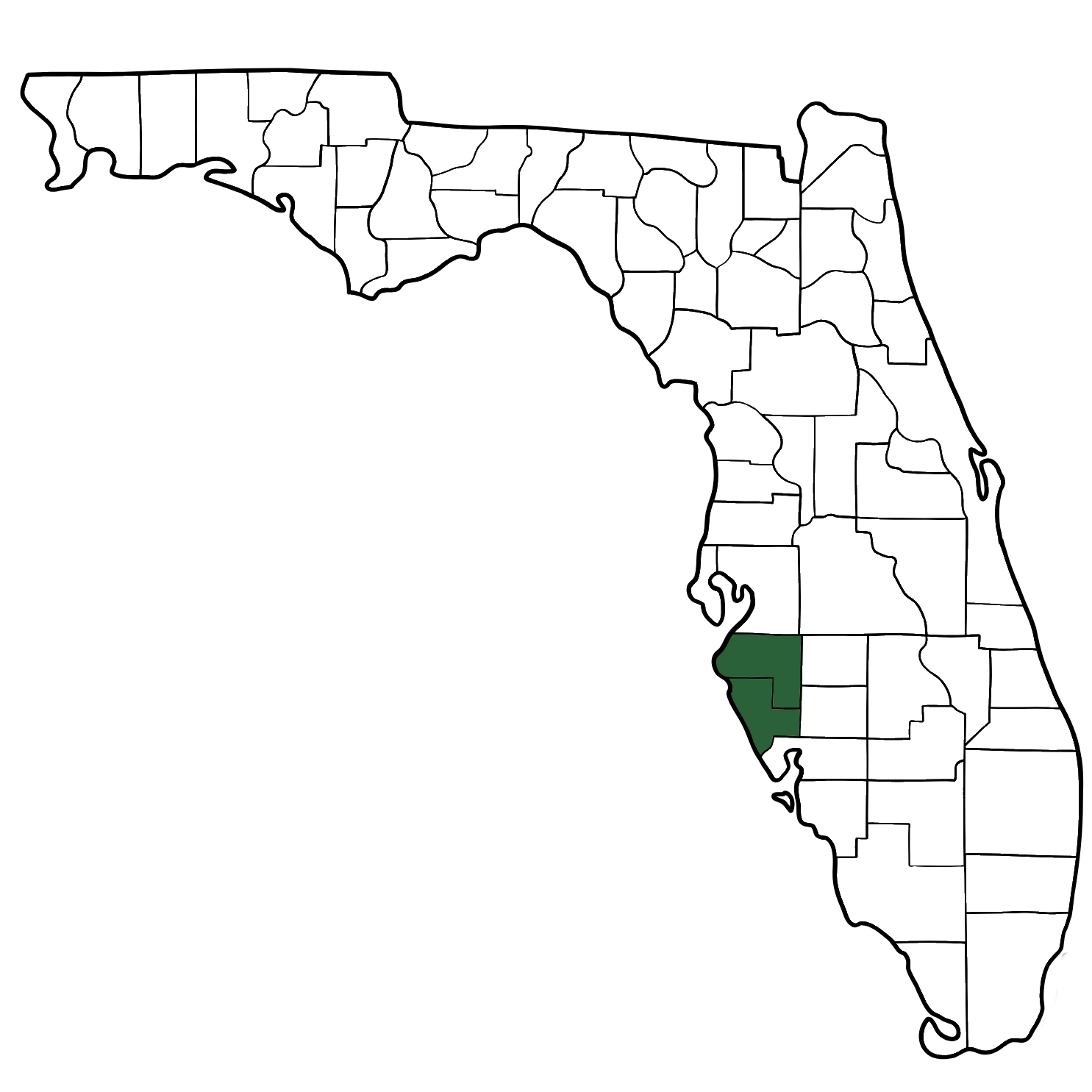 Areas We Serve In Florida | Perfect Solutions For Seniors 